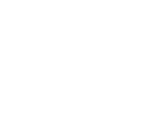 Logo Patronat Premià