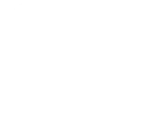 Logo Patronat Premià