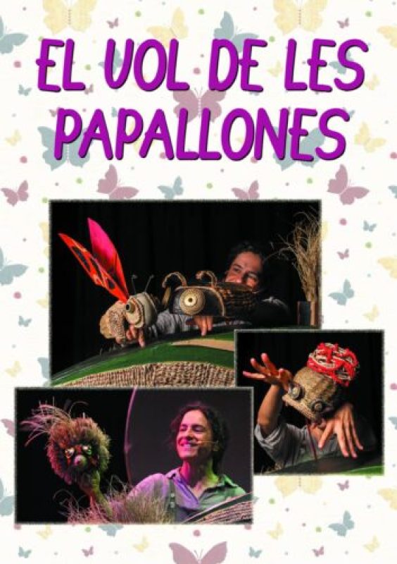 papallonasol